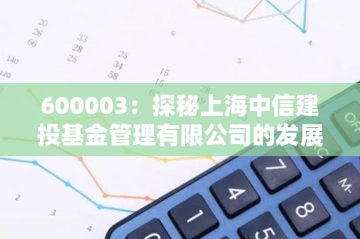 600003：探秘上海中信建投<strong><strong>基金</strong></strong>管理有限公司的发展历程