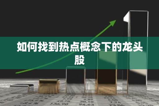 如何找到热点概念下的龙头股