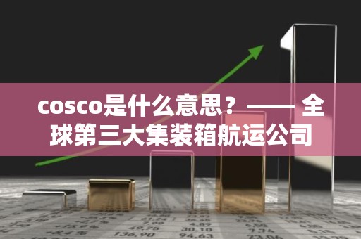cosco是什么意思？—— 全球第三大集装箱航运公司