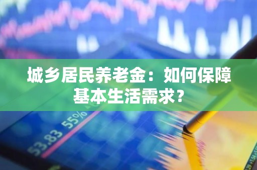 城乡居民养老金：如何保障基本生活需求？