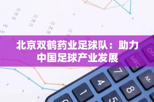 北京双鹤药业足球队：助力中国足球产业发展