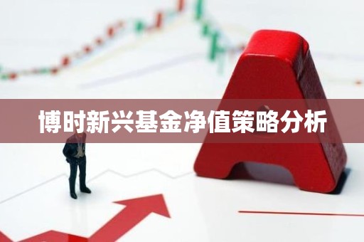 博时新兴<strong><strong>基金</strong></strong>净值策略分析