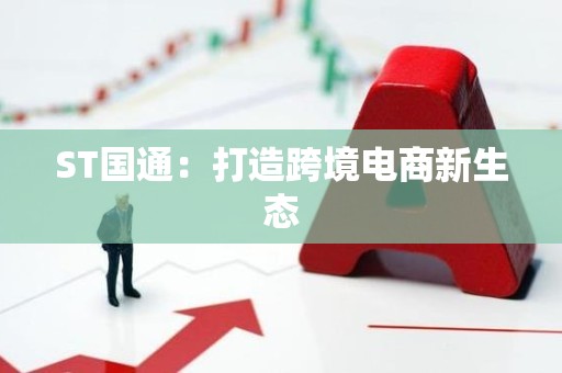 ST国通：打造跨境电商新生态
