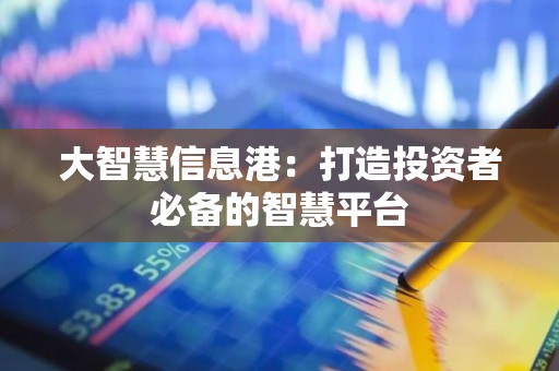 大智慧信息港：打造投资者必备的智慧平台