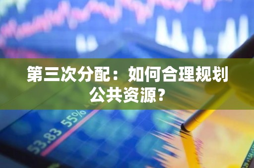 第三次分配：如何合理规划公共资源？