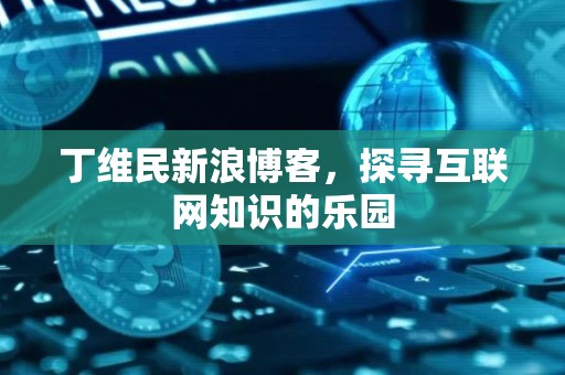 丁维民新浪博客，探寻互联网知识的乐园