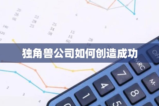 独角兽公司如何创造成功