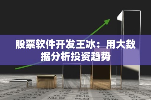 股票软件开发王冰：用大数据分析投资趋势