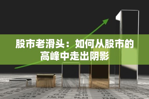 股市老滑头：如何从股市的高峰中走出阴影