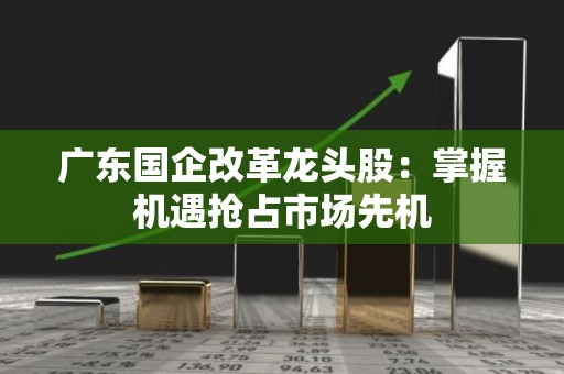 广东国企改革龙头股：掌握机遇抢占市场先机
