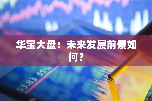 华宝大盘：未来发展前景如何？