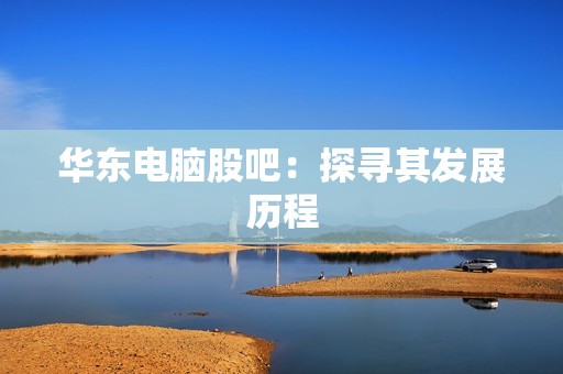 华东电脑股吧：探寻其发展历程