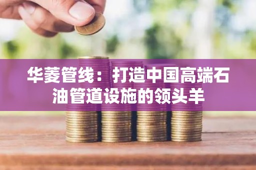 华菱管线：打造中国高端石油管道设施的领头羊