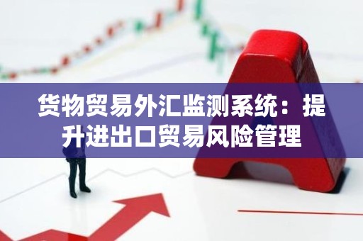 货物贸易外汇监测系统：提升进出口贸易风险管理