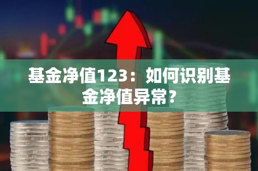 <strong><strong>基金</strong></strong>净值123：如何识别<strong><strong>基金</strong></strong>净值异常？