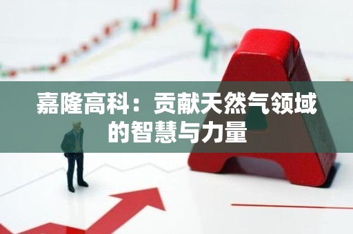 嘉隆高科：贡献天然气领域的智慧与力量