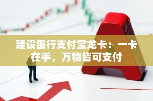 建设银行支付宝龙卡：一卡在手，万物皆可支付