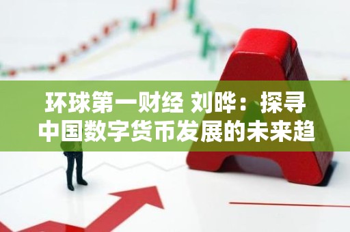 环球第一财经 刘晔：探寻中国数字货币发展的未来趋势