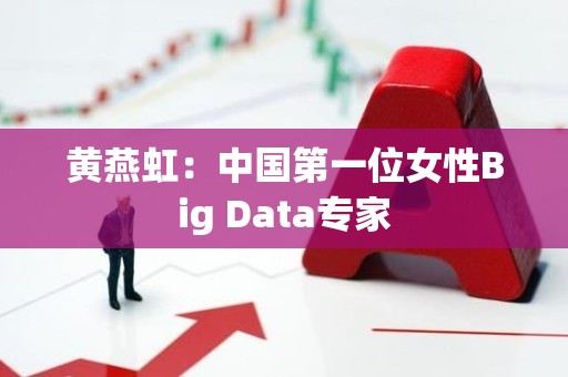 黄燕虹：中国第一位女性Big Data专家