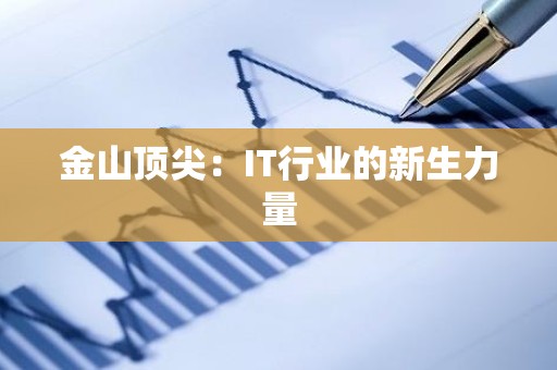 金山顶尖：IT行业的新生力量