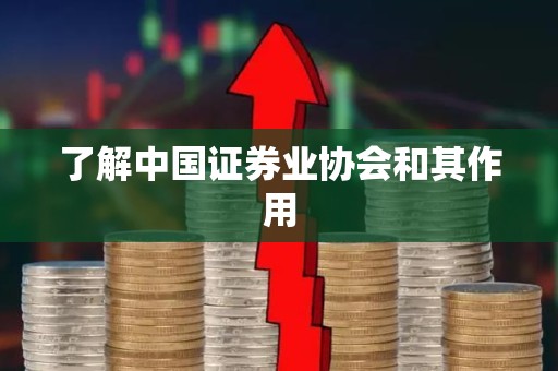 了解中国证券业协会和其作用