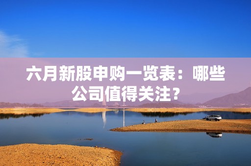 六月新股申购一览表：哪些公司值得关注？