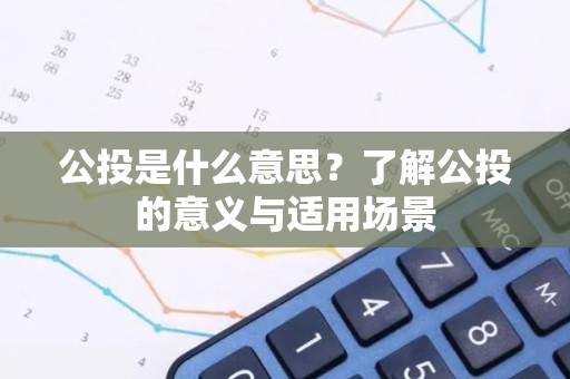 公投是什么意思？了解公投的意义与适用场景