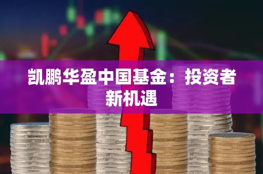凯鹏华盈中国<strong><strong>基金</strong></strong>：投资者新机遇