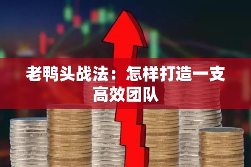老鸭头战法：怎样打造一支高效团队