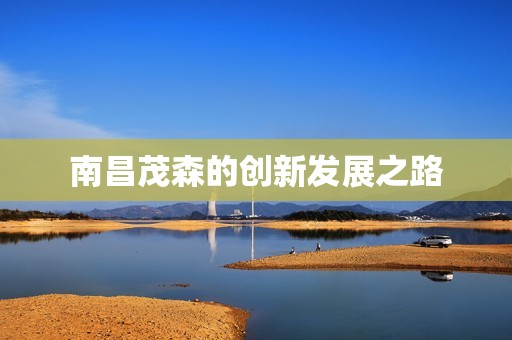 南昌茂森的创新发展之路