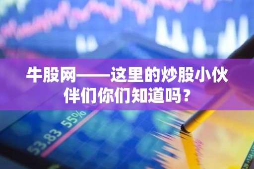 牛股网——这里的<strong><strong>炒股</strong></strong>小伙伴们你们知道吗？