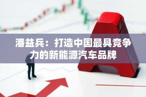 潘益兵：打造中国最具竞争力的新能源汽车品牌