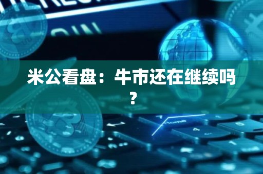 米公看盘：牛市还在继续吗？