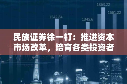 民族证券徐一钉：推进资本市场改革，培育各类投资者