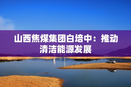 山西焦煤集团白培中：推动清洁能源发展