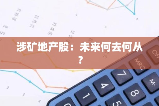 涉矿地产股：未来何去何从？