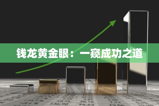 钱龙黄金眼：一窥成功之道