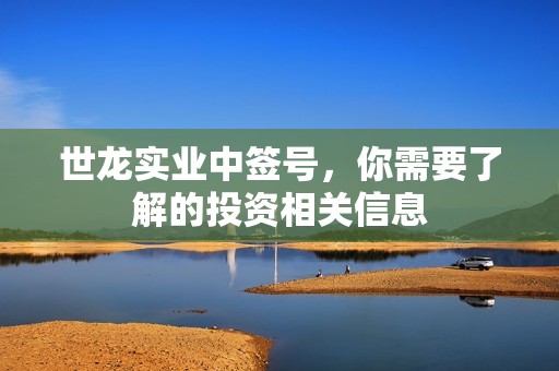 世龙实业中签号，你需要了解的投资相关信息