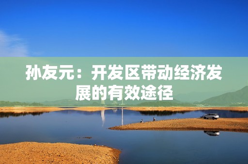 孙友元：开发区带动经济发展的有效途径
