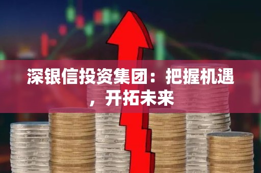 深银信投资集团：把握机遇，开拓未来