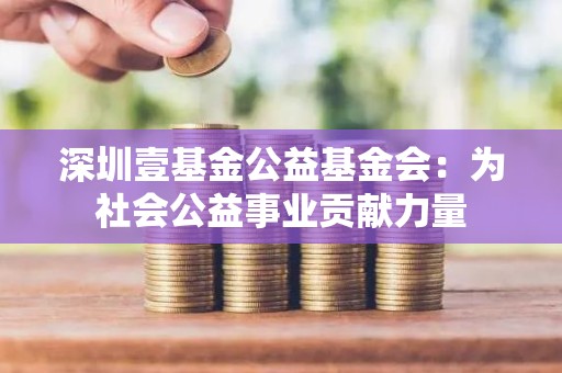 深圳壹<strong><strong>基金</strong></strong>公益<strong><strong>基金</strong></strong>会：为社会公益事业贡献力量