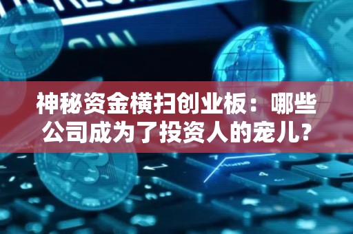 神秘资金横扫创业板：哪些公司成为了投资人的宠儿？