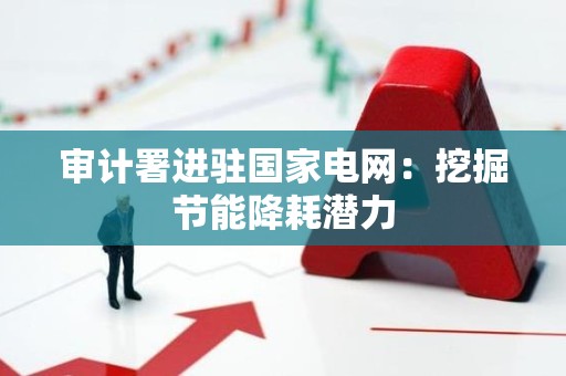 审计署进驻国家电网：挖掘节能降耗潜力