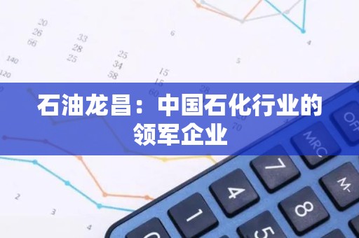 石油龙昌：中国石化行业的领军企业
