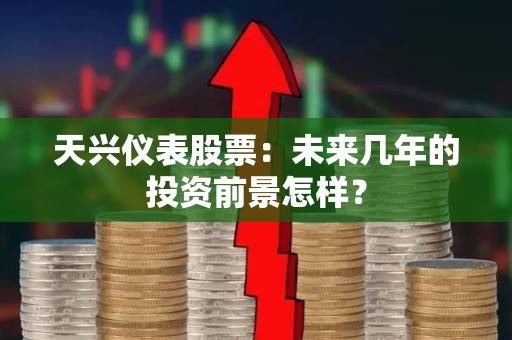天兴仪表股票：未来几年的投资前景怎样？