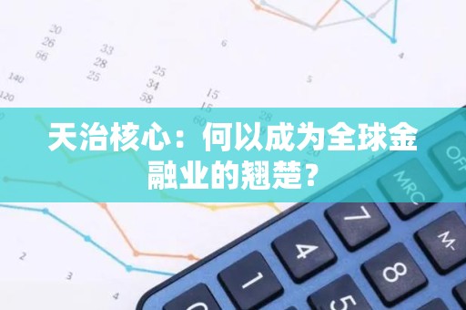 天治核心：何以成为全球金融业的翘楚？