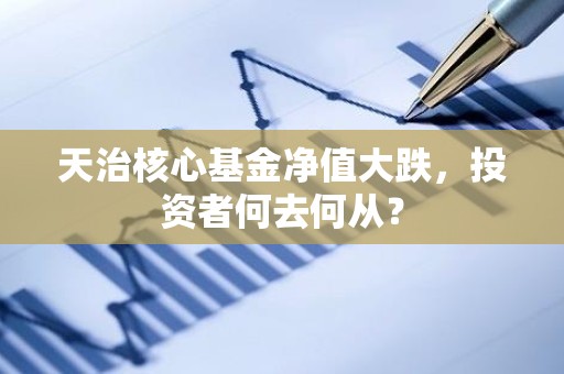 天治核心<strong><strong>基金</strong></strong>净值大跌，投资者何去何从？