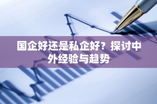 国企好还是私企好？探讨中外经验与趋势