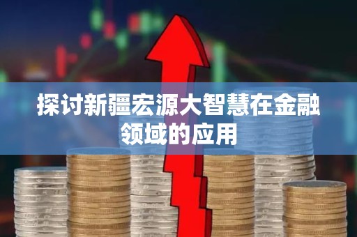 探讨新疆宏源大智慧在金融领域的应用