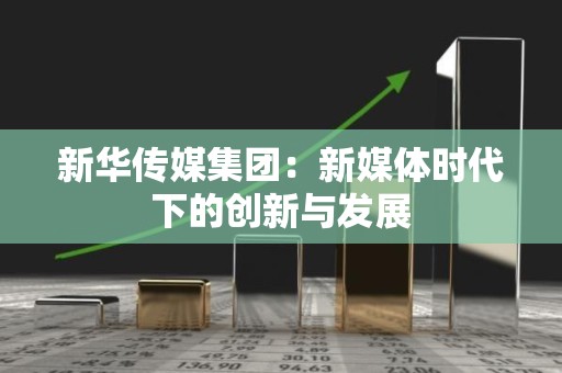 新华传媒集团：新媒体时代下的创新与发展